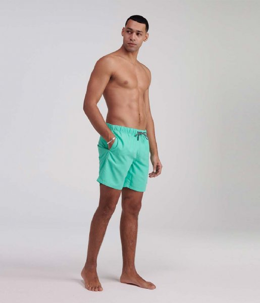 Shiwi  Men Swim Short Recycled Mike Solid Pappagallo Green (676)