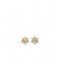 TI SENTO - Milano  925 Sterling Zilveren Earrings 7860 Zirconia white yellow gold plated (7860ZY)