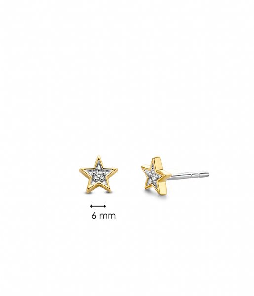 TI SENTO - Milano  925 Sterling Zilveren Earrings 7863 Zirconia white yellow gold plated (7863ZY)