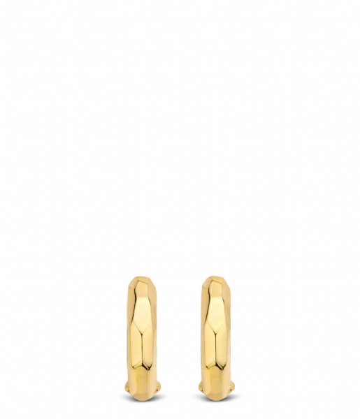 TI SENTO - Milano  925 Sterling Zilver Earrings 7823 Silver yellow gold plated