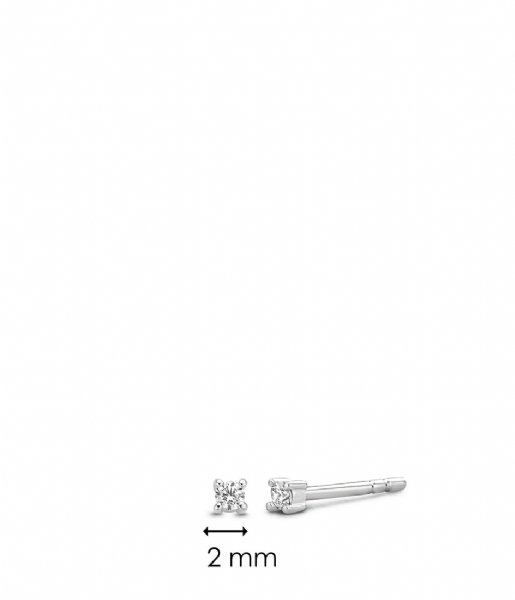TI SENTO - Milano  925 Sterling Zilver Earrings 7834 Zirconia white (7834ZI)