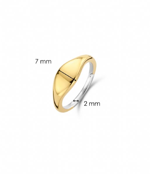 TI SENTO - Milano  925 Sterling Zilveren Ring 12223 Silver Yellow Gold Plated (12223SY)