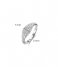 TI SENTO - Milano  925 Sterling Zilveren Ring 12223 Zirconia White (12223ZI)