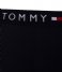 Tommy Hilfiger  Trunk Desert Sky (DW5)