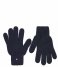 Tommy Hilfiger  Kids Small Flag Gloves Desert Sky (DW5)