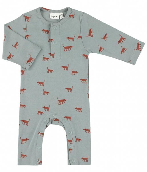 Trixie  Onesie Long Playful Pup